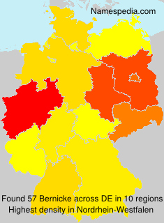 Bernicke Bernicke