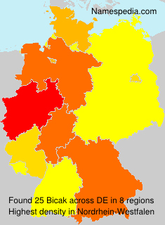 Surname Bicak in Germany Surname Bicak in Germany