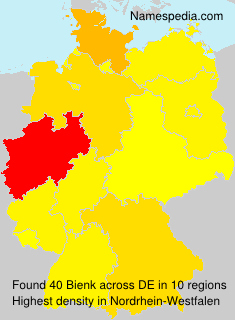 Surname Bienk in Germany Surname Bienk in Germany
