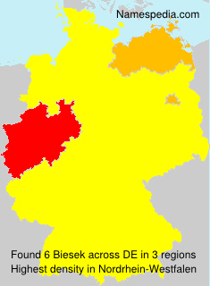 Surname Biesek in Germany
