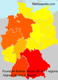 Bodnar Bodnar