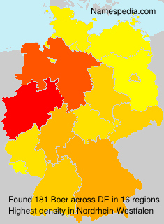 Surname Boer in Germany Surname Boer in Germany