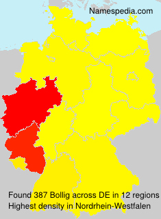 Bollig Bollig