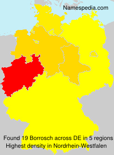 Borrosch Borrosch