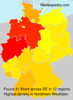 Surname Brant in Germany Surname Brant in Germany