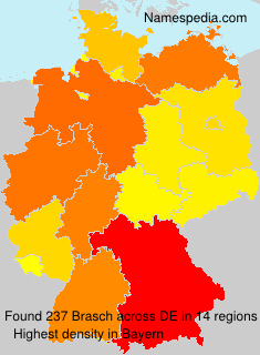 Brasch Brasch