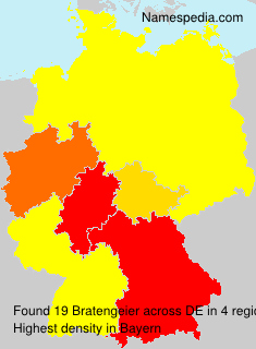 Bratengeier Bratengeier