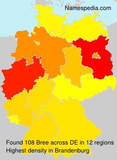 Surname Bree in Germany Surname Bree in Germany