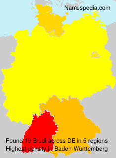Brudi Brudi