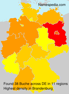 Surname Buche in Germany Surname Buche in Germany