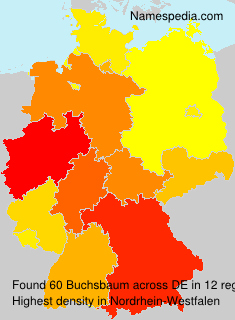 Buchsbaum Buchsbaum