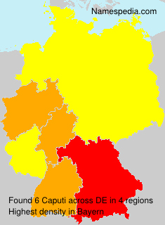 Surname Caputi in Germany Surname Caputi in Germany