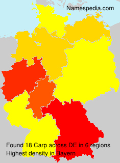 Surname Carp in Germany Surname Carp in Germany