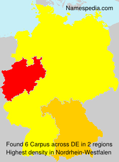 Surname Carpus in Germany Surname Carpus in Germany