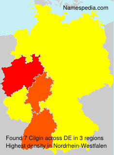 Surname Cilgin in Germany Surname Cilgin in Germany