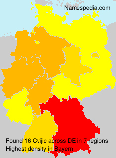 Surname Cvijic in Germany Surname Cvijic in Germany