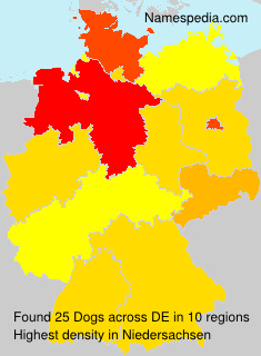 Surname Dogs in Germany Surname Dogs in Germany