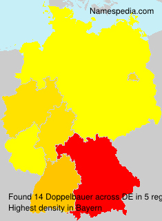 Doppelbauer Doppelbauer
