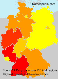 Surname Drzyzga in Germany Surname Drzyzga in Germany