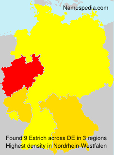 Estrich Estrich