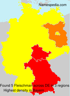Fleischman Fleischman