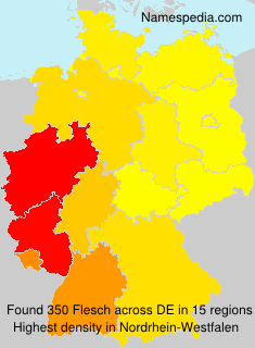 Surname Flesch in Germany Surname Flesch in Germany