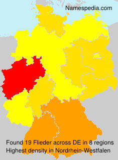 Flieder Flieder