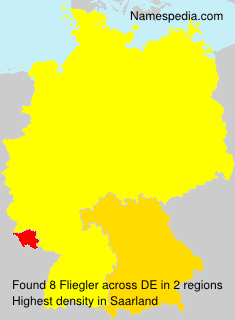 Surname Fliegler in Germany Surname Fliegler in Germany