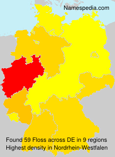 Surname Floss in Germany Surname Floss in Germany