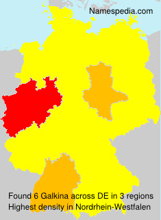 Surname Galkina in Germany Surname Galkina in Germany