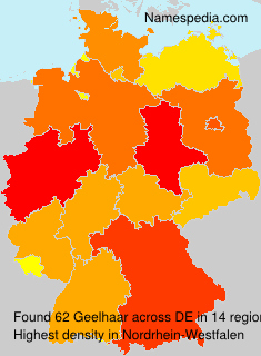 Geelhaar Geelhaar