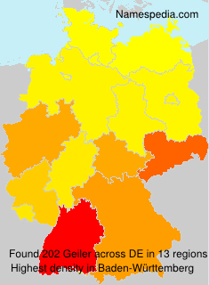 Surname Geiler in Germany Surname Geiler in Germany