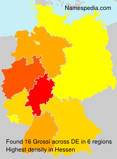 Surname Grossi in Germany Surname Grossi in Germany