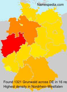 Surname Grunwald in Germany Surname Grunwald in Germany