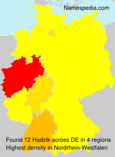 Surname Hadzik in Germany Surname Hadzik in Germany