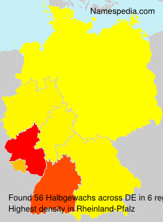 Surname Halbgewachs in Germany Surname Halbgewachs in Germany