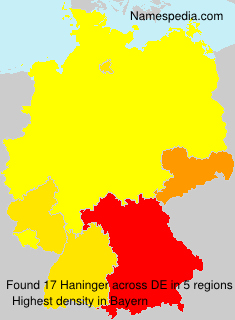 Surname Haninger in Germany Surname Haninger in Germany