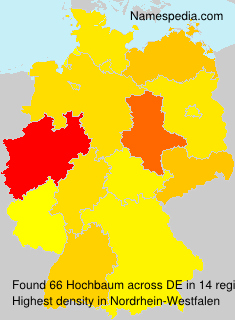 Surname Hochbaum in Germany Surname Hochbaum in Germany