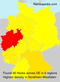 Surname Hocks in Germany Surname Hocks in Germany