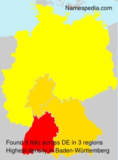 Surname Ildiz in Germany Surname Ildiz in Germany