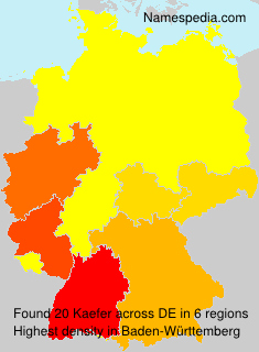 Surname Kaefer in Germany Surname Kaefer in Germany