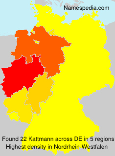 Kattmann Kattmann