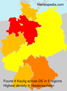 Kaulig Kaulig