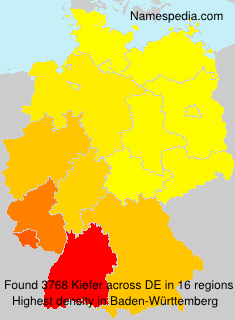 Surname Kiefer in Germany Surname Kiefer in Germany