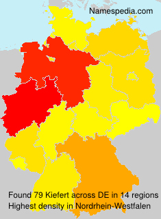 Kiefert Kiefert