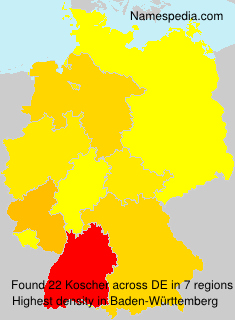 Koscher Koscher