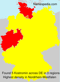 Surname Kostromin in Germany Surname Kostromin in Germany