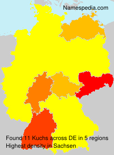 Surname Kuchs in Germany Surname Kuchs in Germany