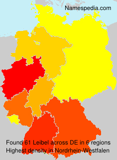 Leibel Leibel