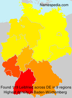 Leibfried Leibfried